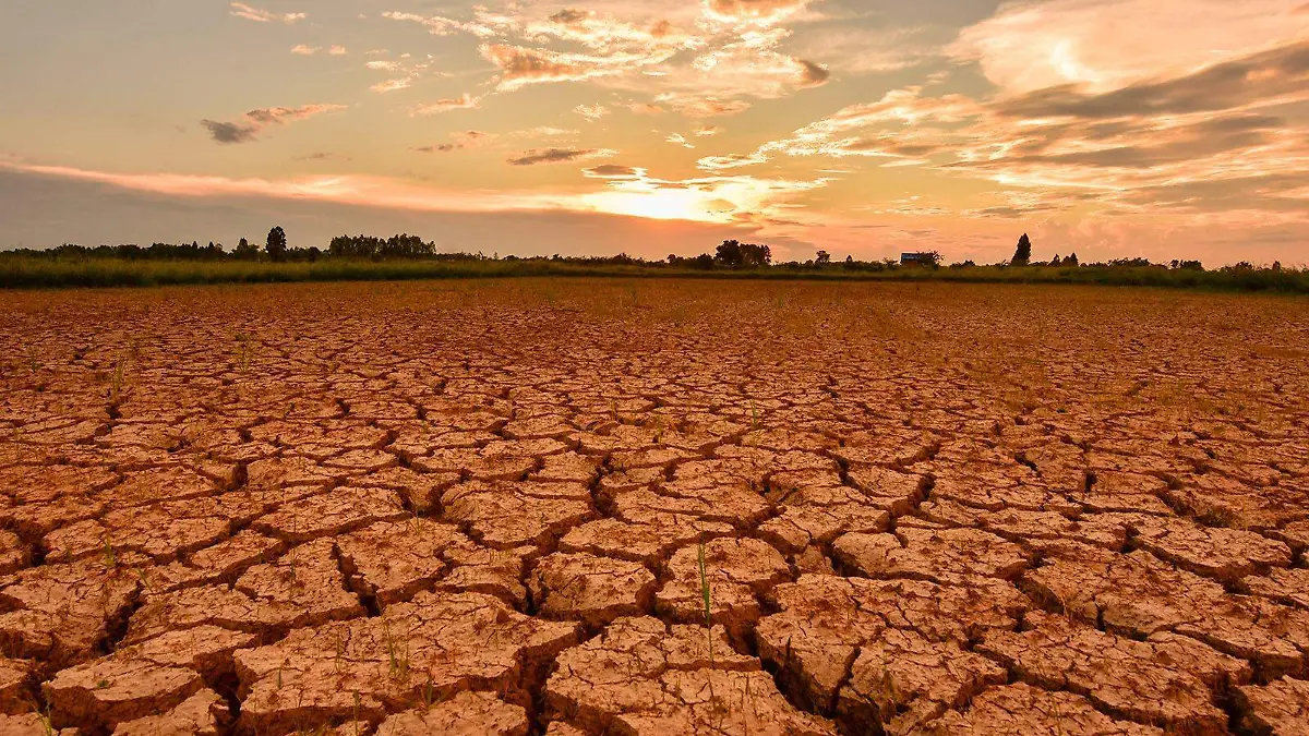 Desertificación y sequía (2)